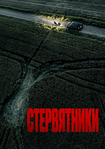 Стервятники